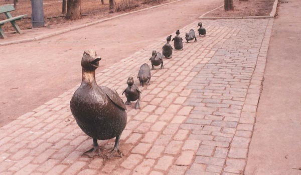 Make way for ducklings Boston & Moscow